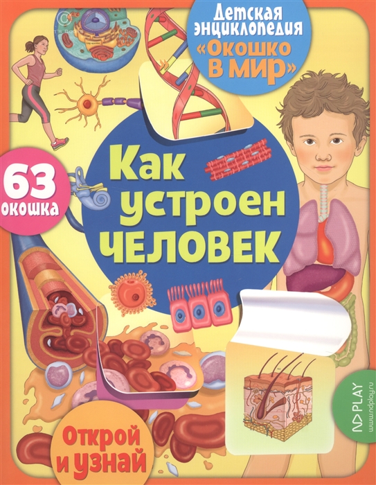 

Как устроен человек 63 окошка