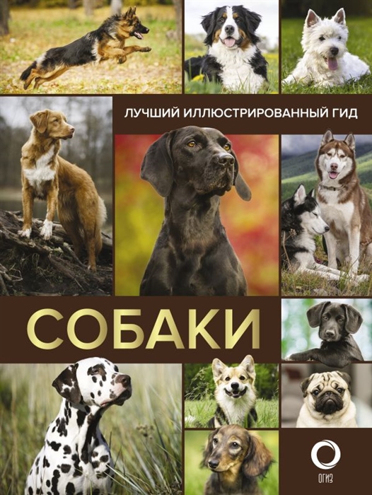 

Собаки Лучший иллюстрированный гид