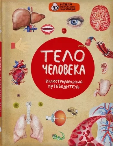 

Тело человека Иллюстрированный путеводитель