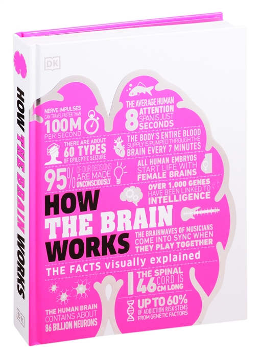 

How the Brain Works