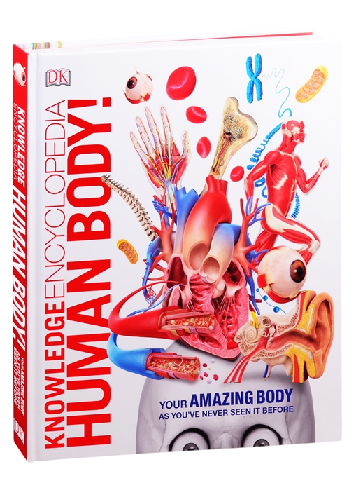 

Knowledge Encyclopedia Human Body
