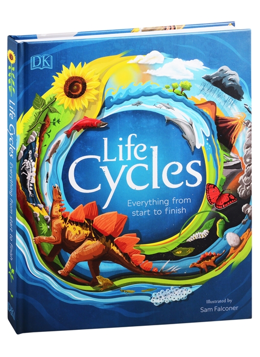 

Life Cycles