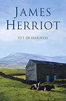 

Vet in Harness