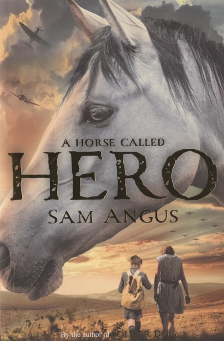 

A Horse Called Hero