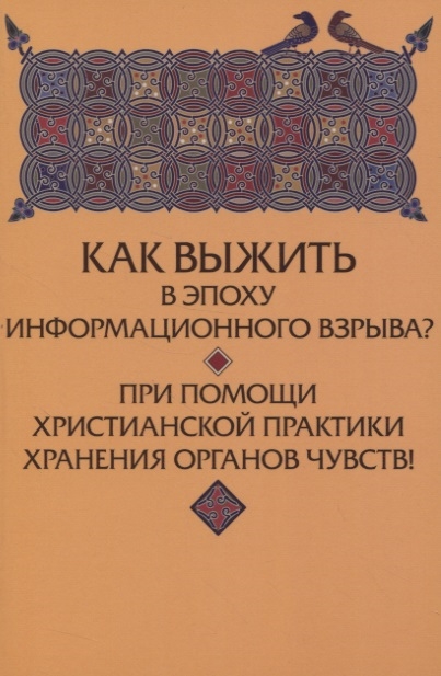 

Как выжить в эпоху информационного взрыва При помощи христианской практики хранения органов чувств