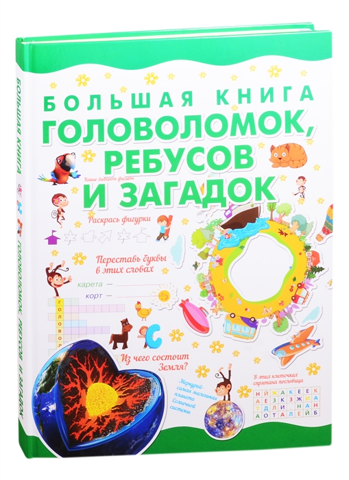 

Большая книга головоломок ребусов и загадок