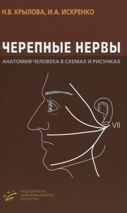 

Черепные нервы Анатомия человека в схемах и рисунках