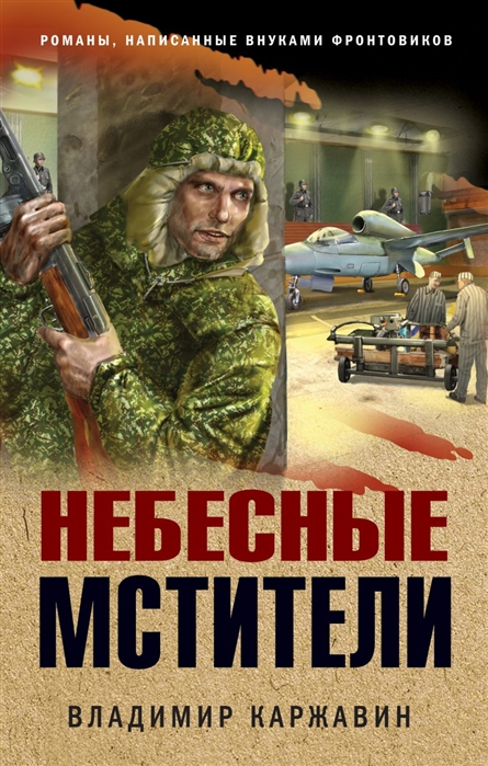 

Небесные мстители