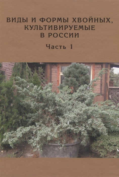 

Виды и формы хвойных культивируемые в России Часть 1 Можжевельник
