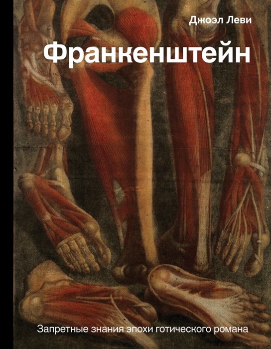 

Франкенштейн Запретные знания эпохи готического романа