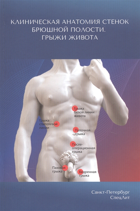 Гайворонский И., Милюков В., Синенченко Г. и др - Клиническая анатомия стенок брюшной полости Грыжи живота