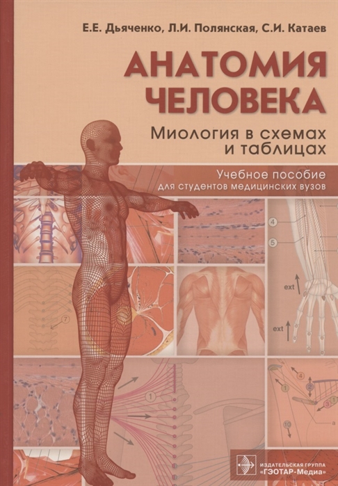 Анатомия человека миология в схемах и таблицах Учебное пособие