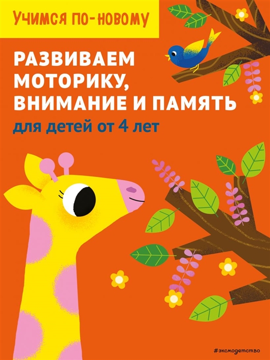 

Развиваем моторику внимание и память для детей от 4 лет