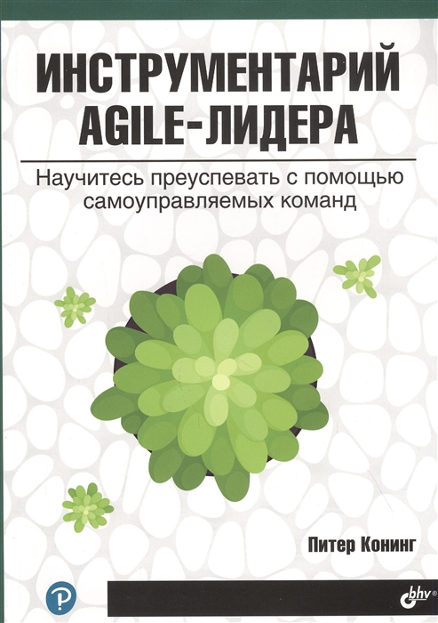 Конинг П. - Инструментарий AGILE-лидера Научитесь преуспевать с помощью самоуправляемых команд