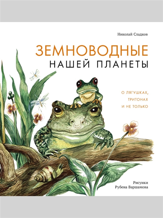 

Земноводные нашей планеты О лягушках тритонах и не только