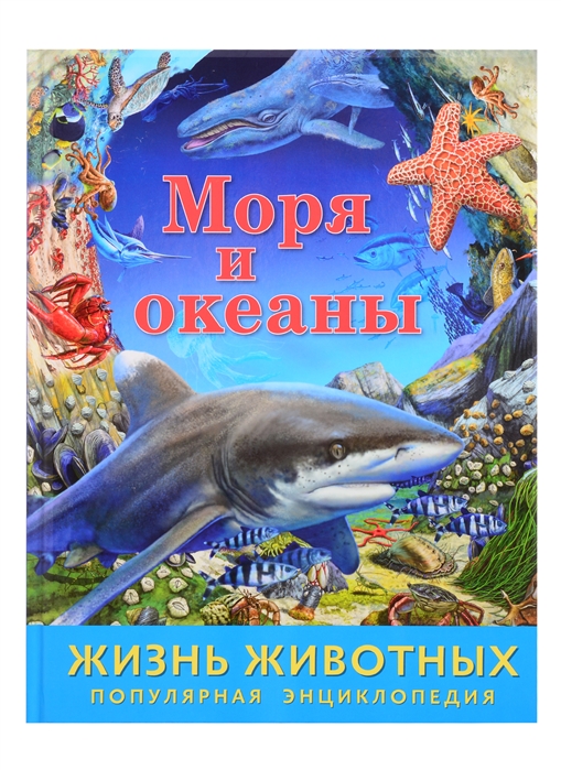 

Моря и океаны