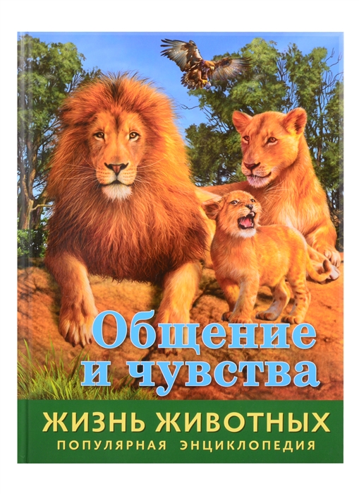 

Общение и чувства