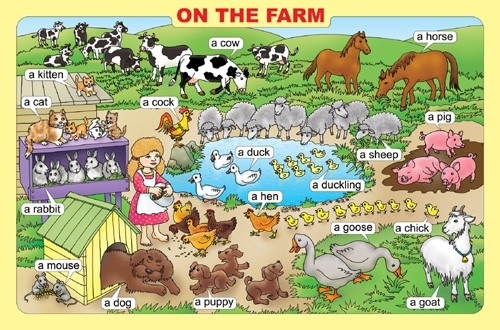 Плакат On The Farm Ферма