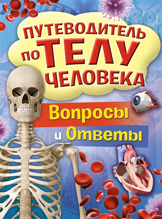 

Путеводитель по телу человека Вопросы и ответы