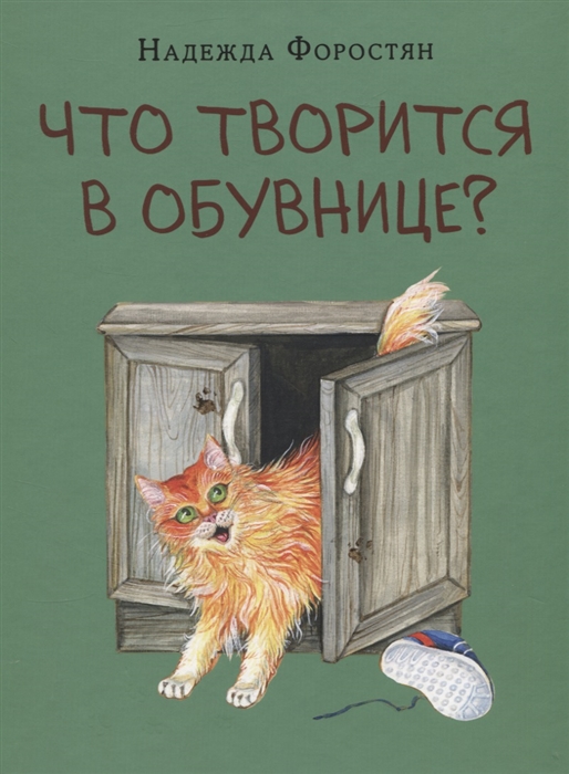 

Что творится в обувнице