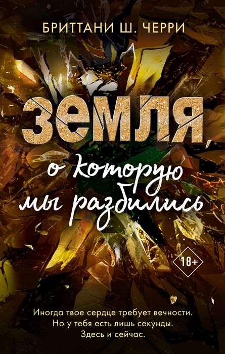 

Земля о которую мы разбились