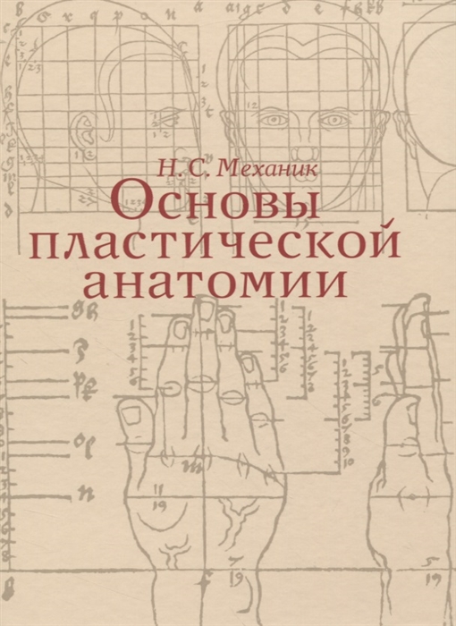 Основы пластической анатомии