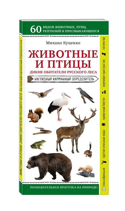 

Животные и птицы Дикие обитатели русского леса Наглядный карманный определитель