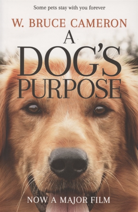 

A Dog s Purpose