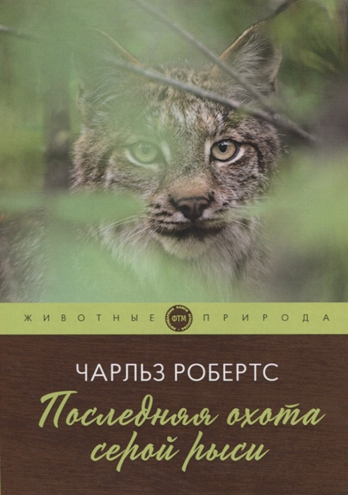 

Последняя охота серой рыси рассказы