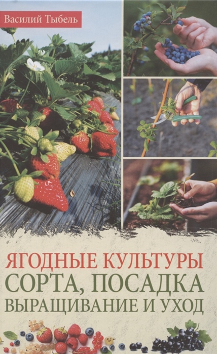 

Ягодные культуры Сорта посадка выращивание и уход