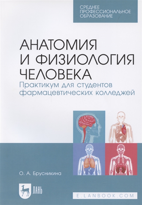 Анатомия и физиология человека Практикум для студентов фармацевтических колледжей