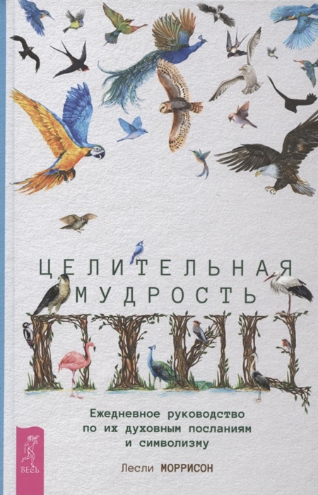 Высшая магия руководство по духовным практикам которые спасли мне жизнь в камере смертников