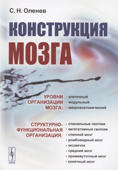 

Конструкция мозга