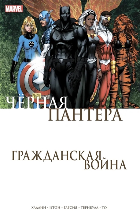 

Гражданская война Черная Пантера