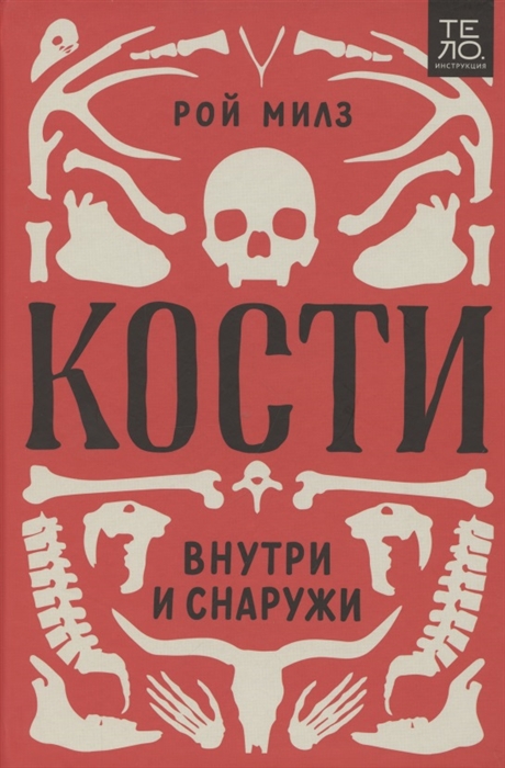

Кости внутри и снаружи