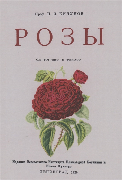 

Розы
