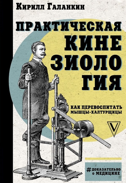 

Практическая кинезиология Как перевоспитать мышцы-халтурщицы