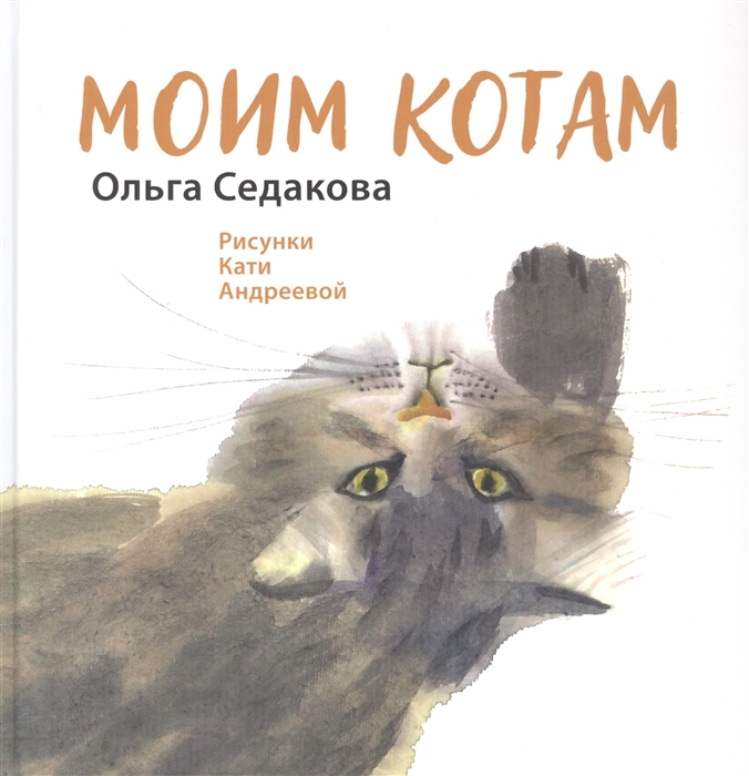 

Моим котам