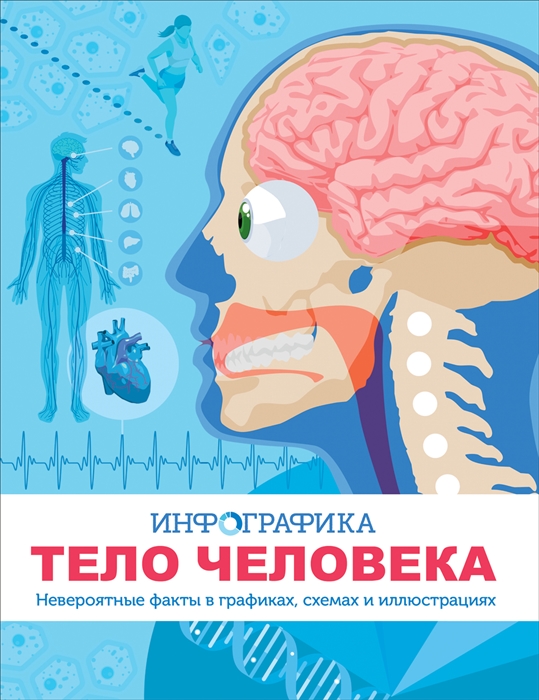 

Тело человека Инфографика