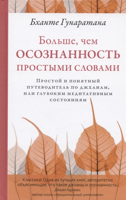 

Больше чем осознанность простыми словами Простой и понятный путеводитель по джханам или глубоким медитативным состояниям