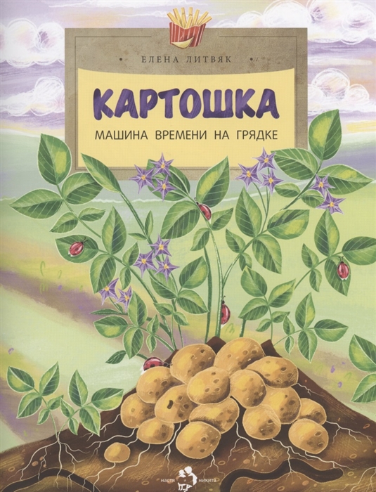 

Картошка Машина времени на грядке