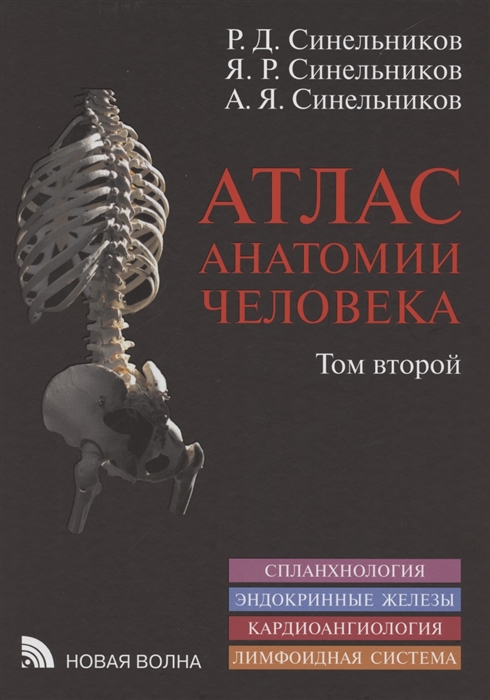 Атлас анатомии человека В 3 томах Том второй Учение о внутренностях эндокринных железах сердечно-сосудистой и лимфоидной системах
