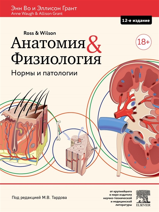

Анатомия и физиология Нормы и патологии