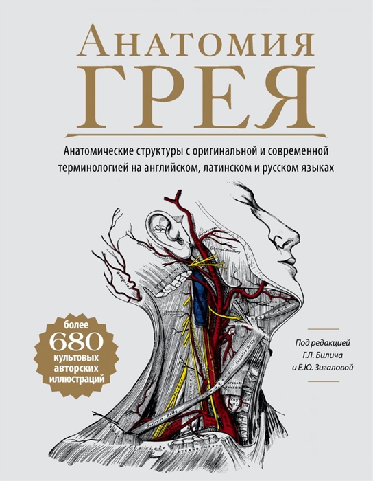 

Анатомия Грея Анатомические структуры с оригинальной и современной терминологией на английском латинском и русском языках