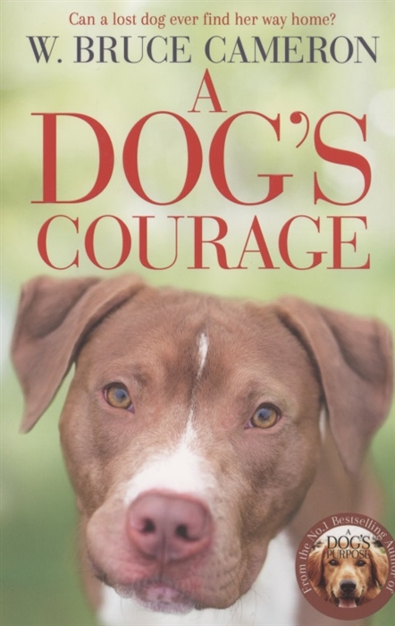 

A Dog s Courage