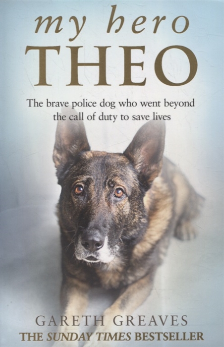 

My Hero Theo