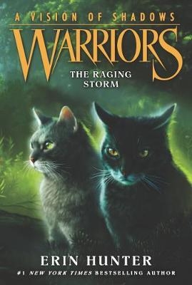 

Warriors A vision shadows The Raging Storm