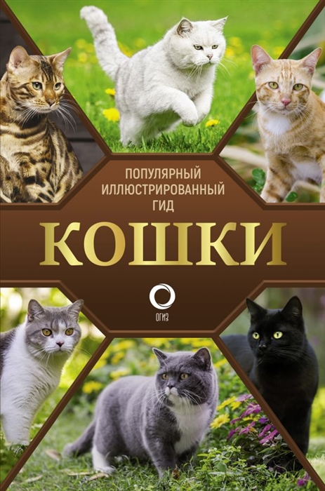 

Кошки Популярный иллюстрированный гид