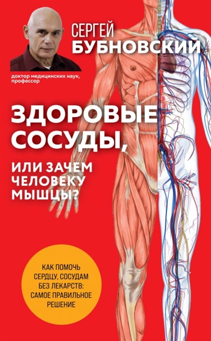 

Здоровые сосуды, или Зачем человеку мышцы