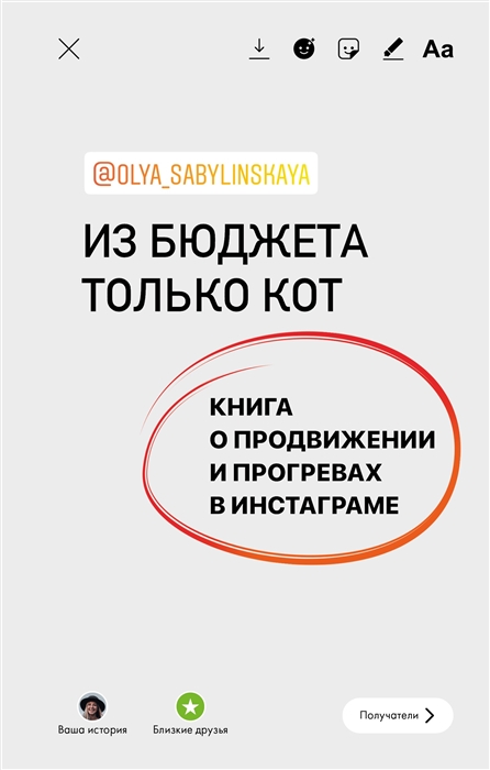 Из бюджета только кот Книга о продвижении и прогревах в инстаграме